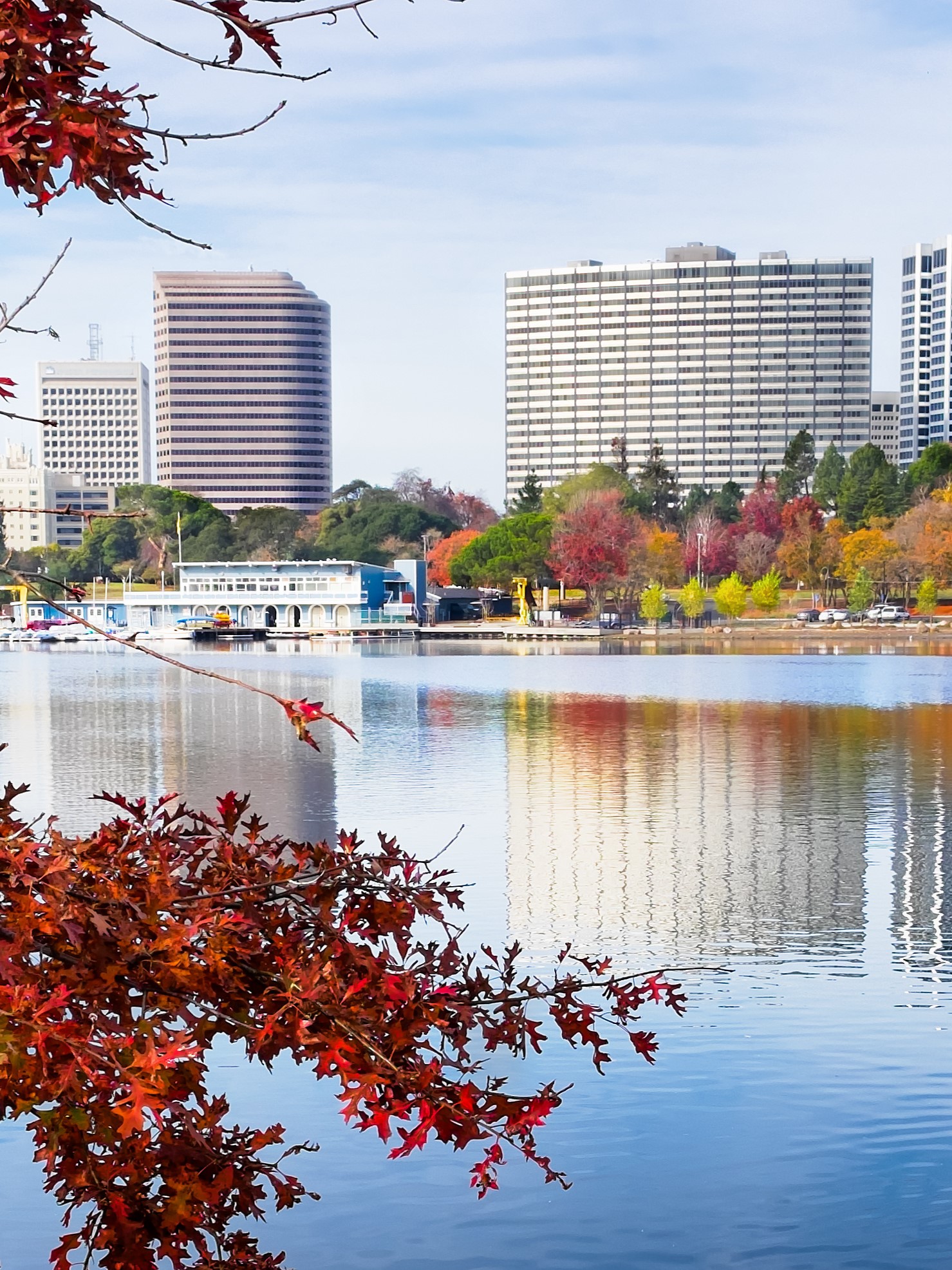 Litigation Associate – Oakland